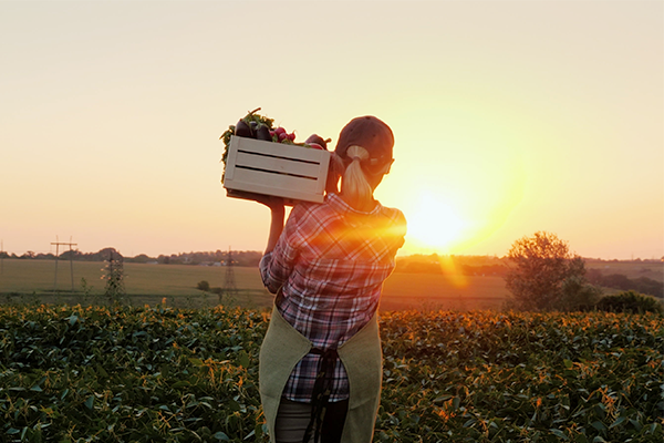 Read more about the article Food Manufacturing – The Importance of Origins.