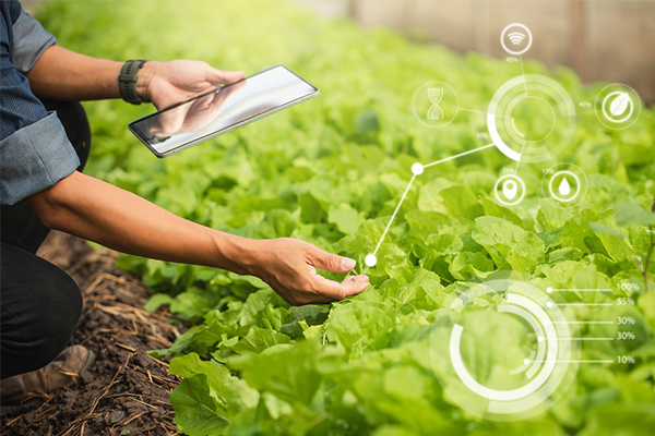 Read more about the article Food and Beverage Manufacturing – Reliability Sustaining Innovation.